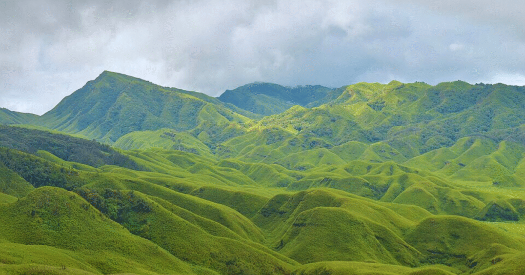 dzukou valley beauty