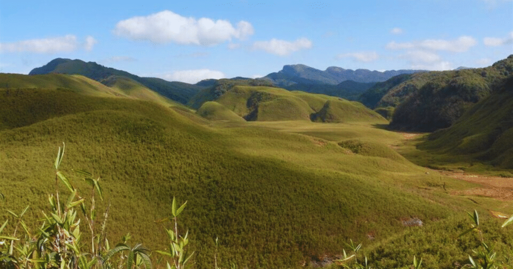dzukou valley mountains