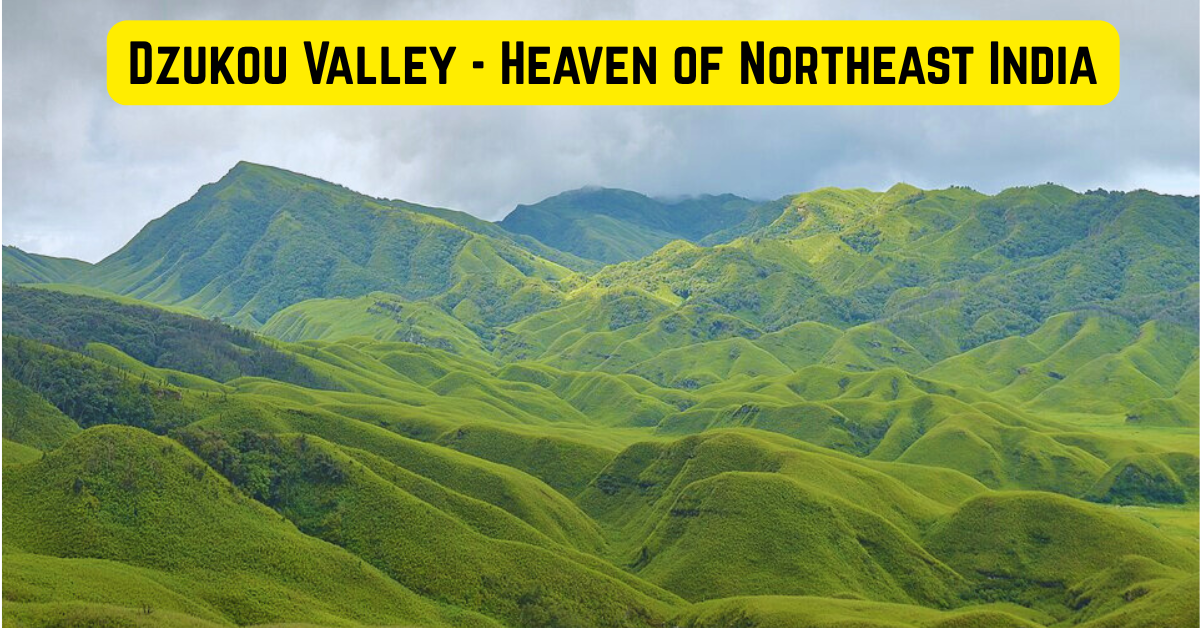 dzukou valley trekking guide