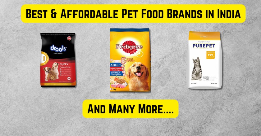 affordable pet food brands in India